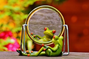 frog mirror